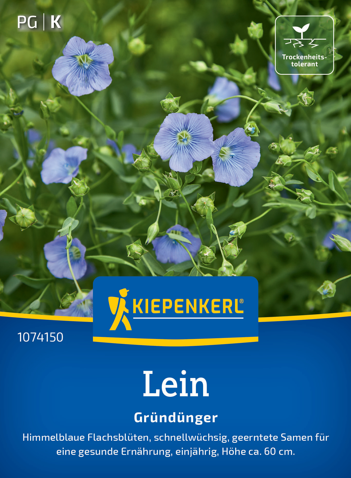 Lein Blauer Flachs Lein Blauer Flachs