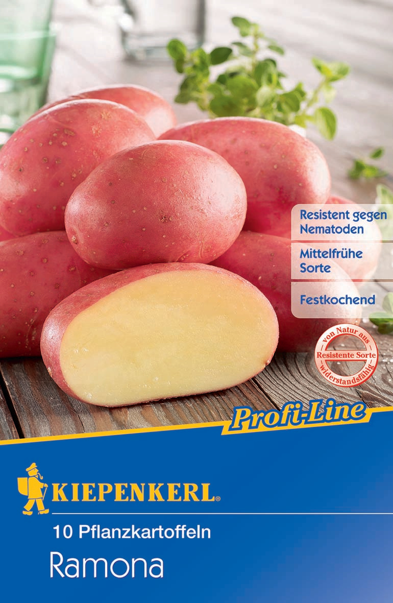 Pflanzkartoffel Ramona, 10 St