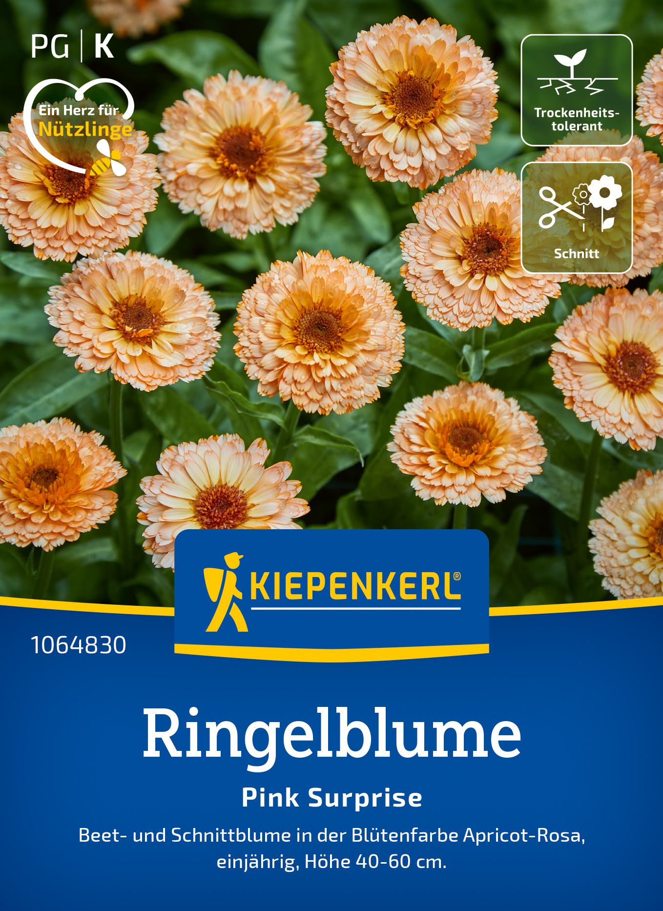 Ringelblume Pink Surprise
