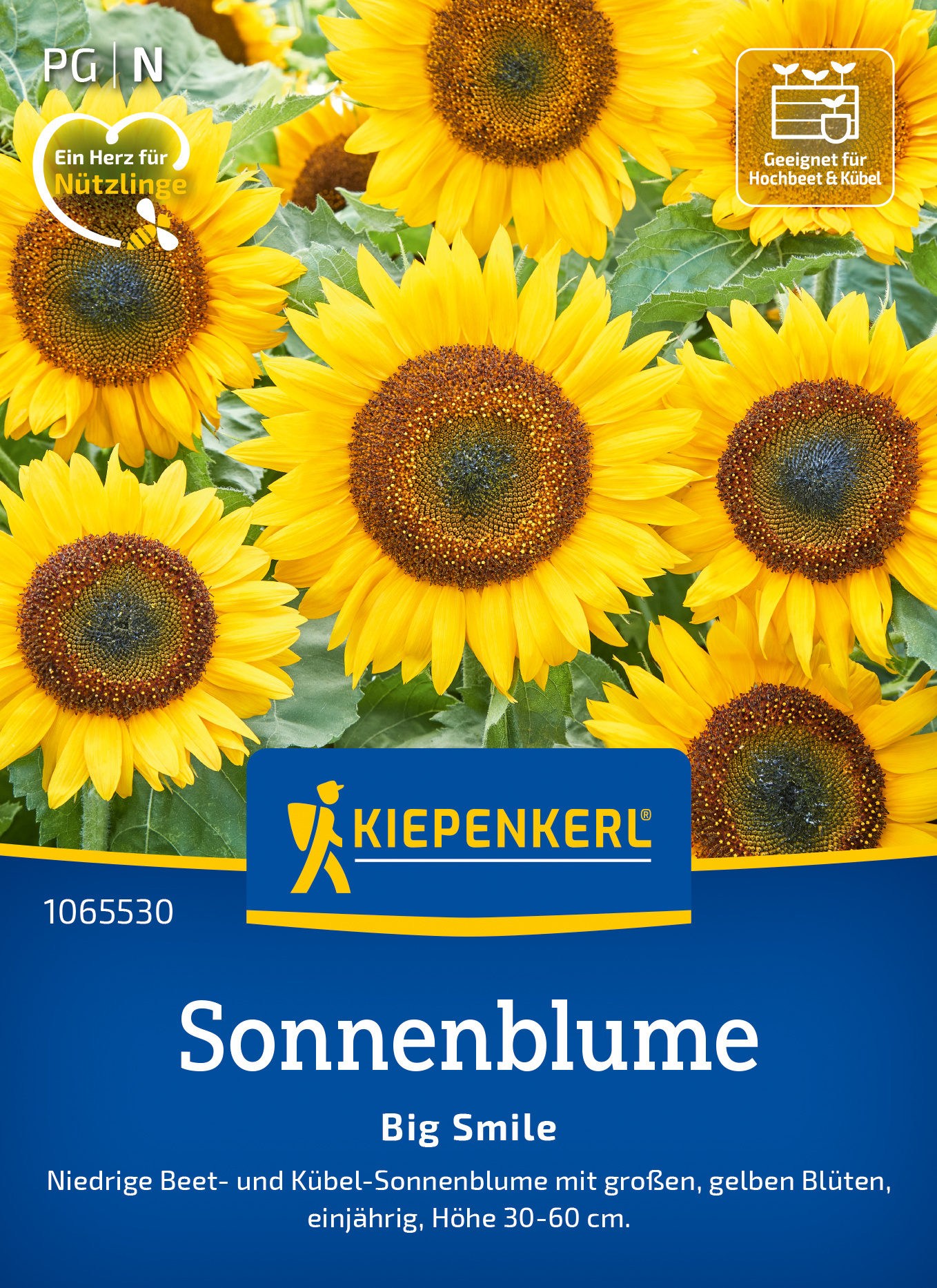 Sonnenblume Big Smile Sonnenblume Big Smile