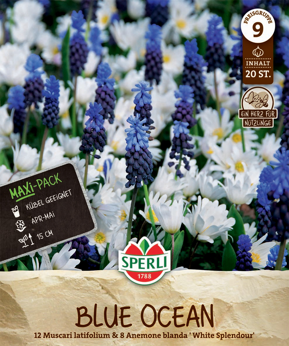 Maxi Blue Ocean Mischung Maxi Blue Ocean Mischung