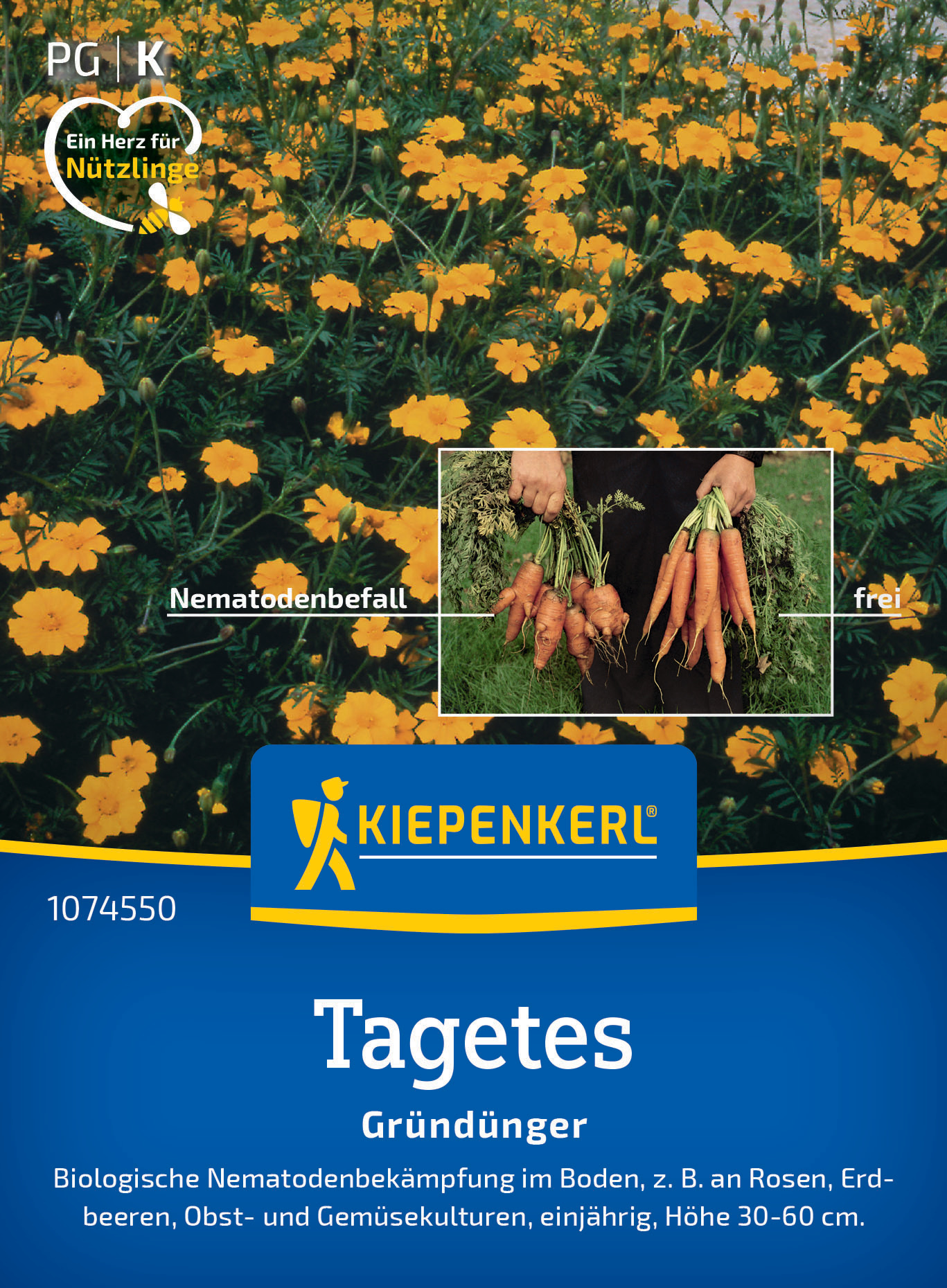 Nematodenkiller-Tagetes Single Gold
