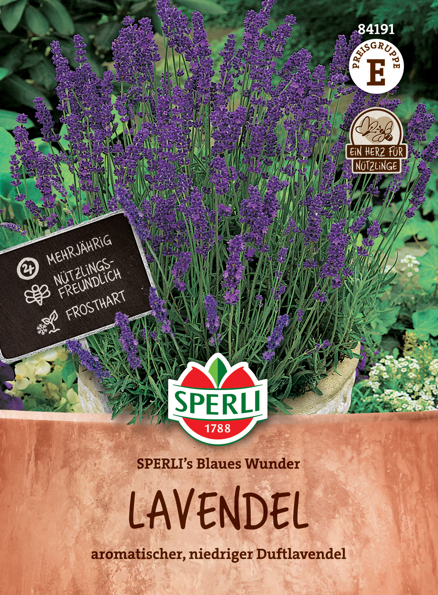 Lavendel SPERLI's Blaues Wunder Lavendel SPERLI's Blaues Wunder