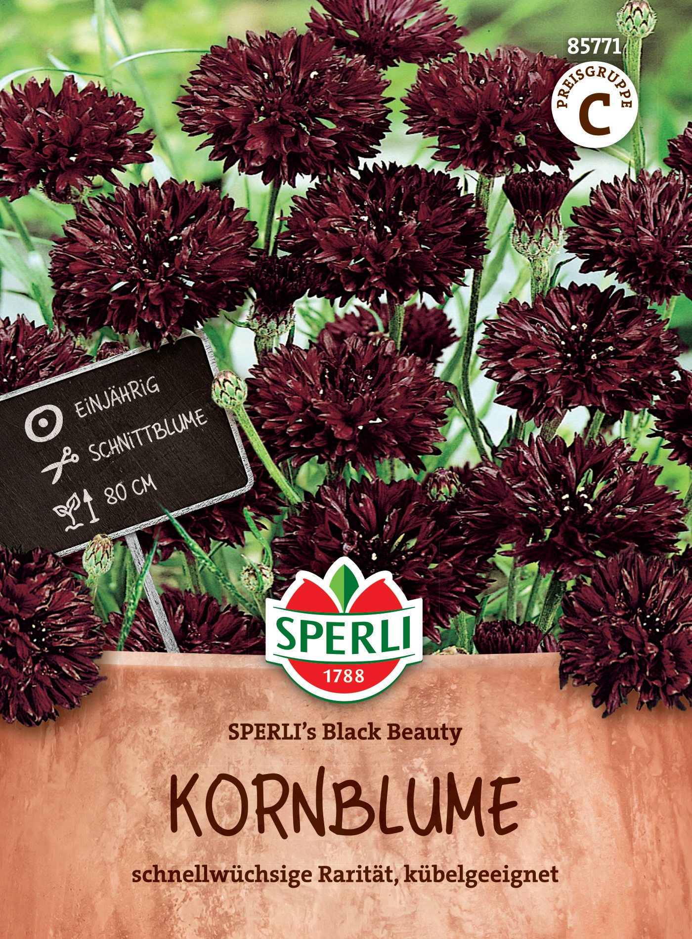 Kornblume SPERLI's Black Beauty Kornblume SPERLI's Black Beauty