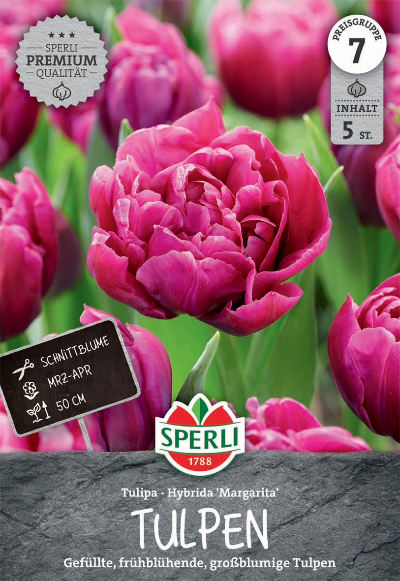 Premium Gefüllte Frühe Tulpe Margarita