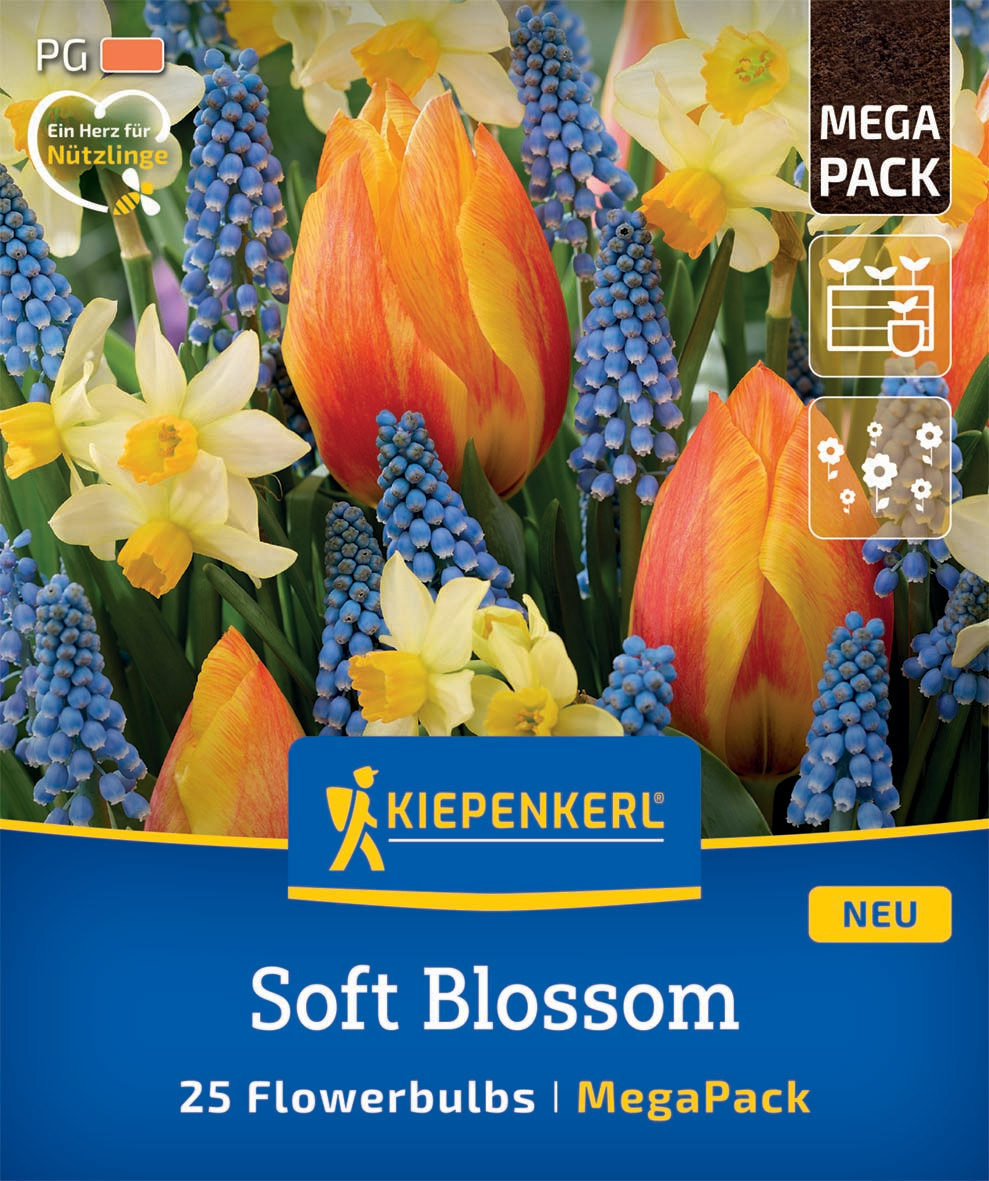Mega Pack Soft Blossom