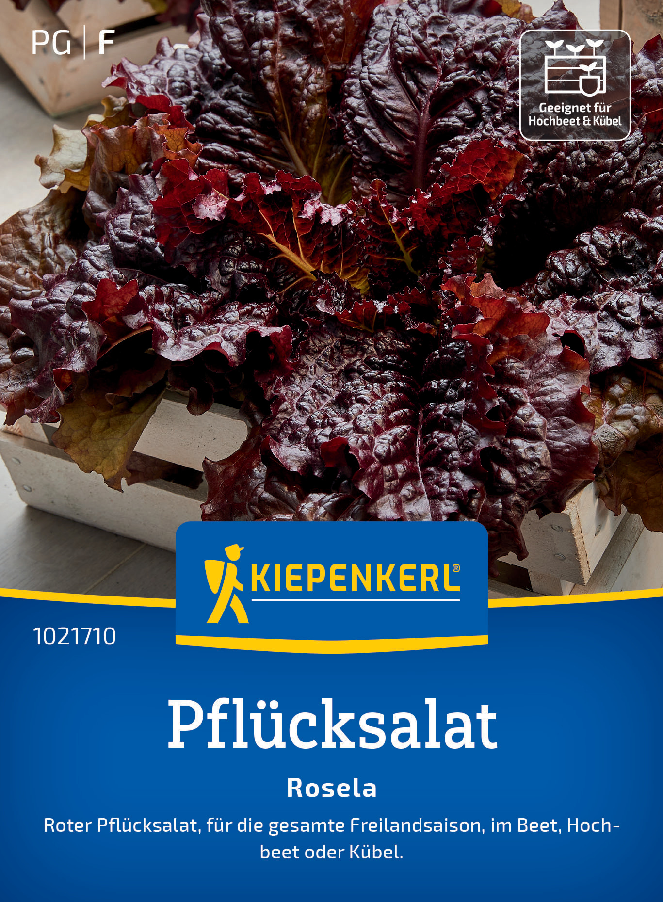 Pflücksalat Rosela