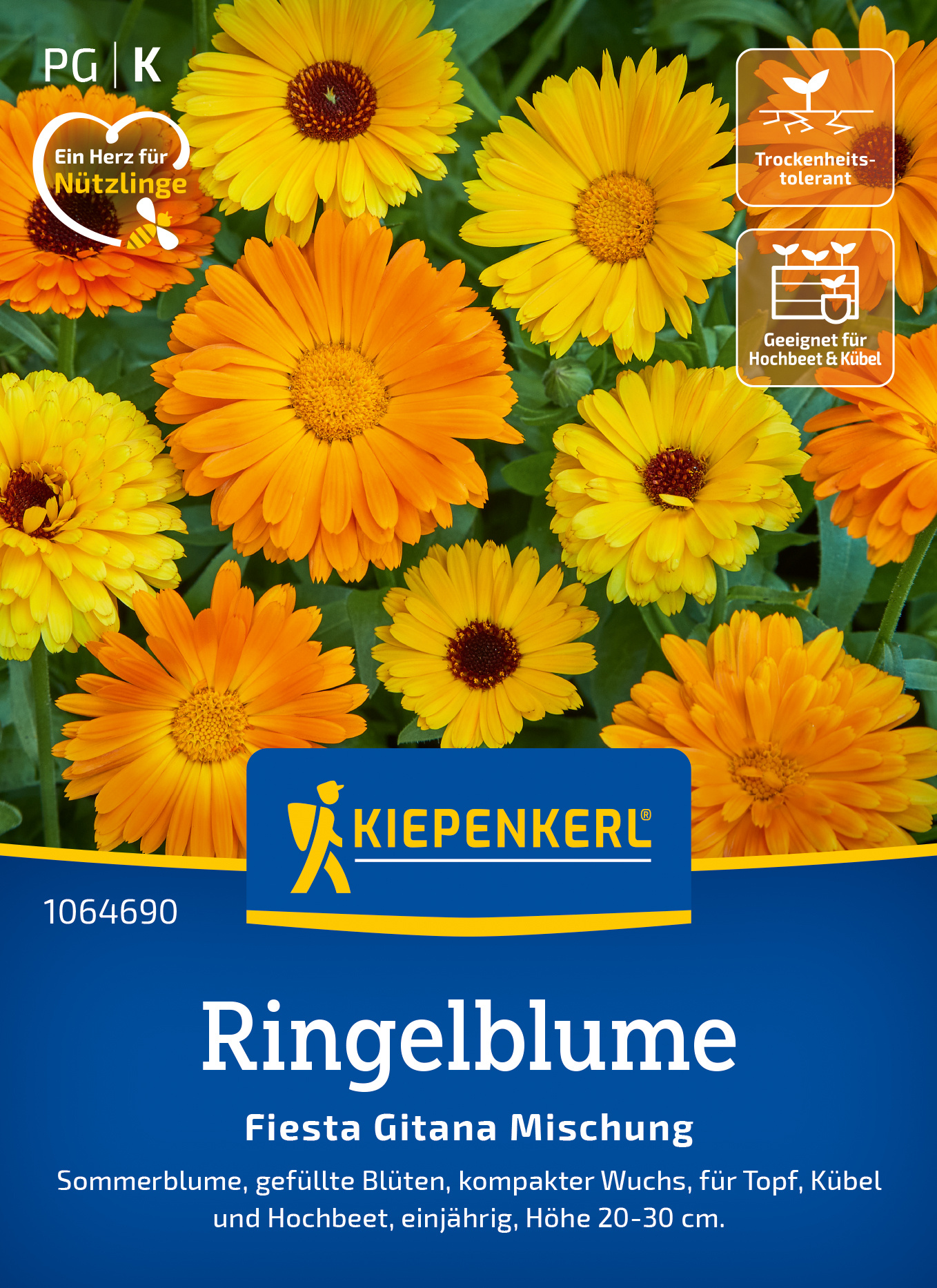 Ringelblume Fiesta Gitana Mischung