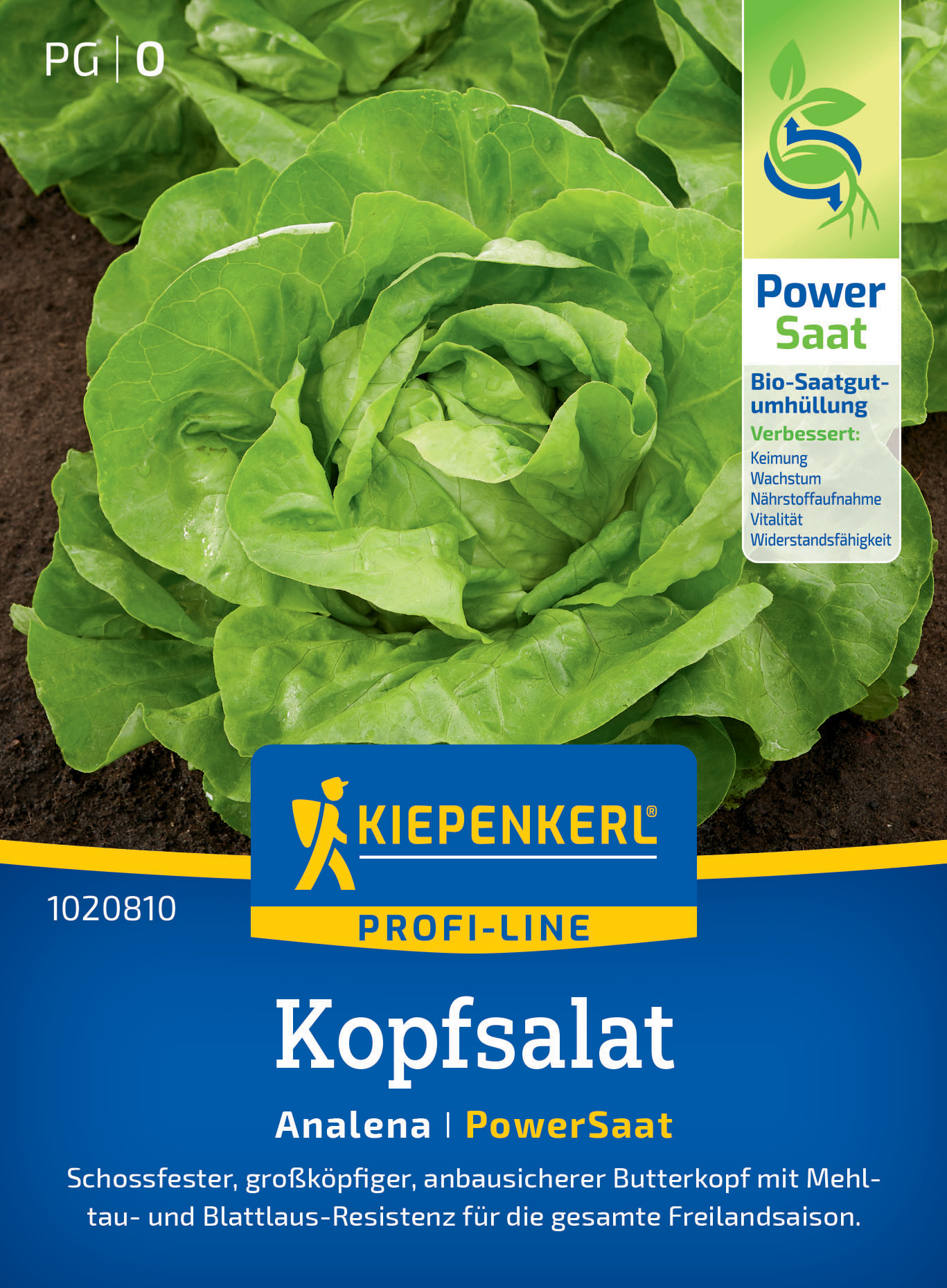 Kopfsalat Analena, PowerSaat