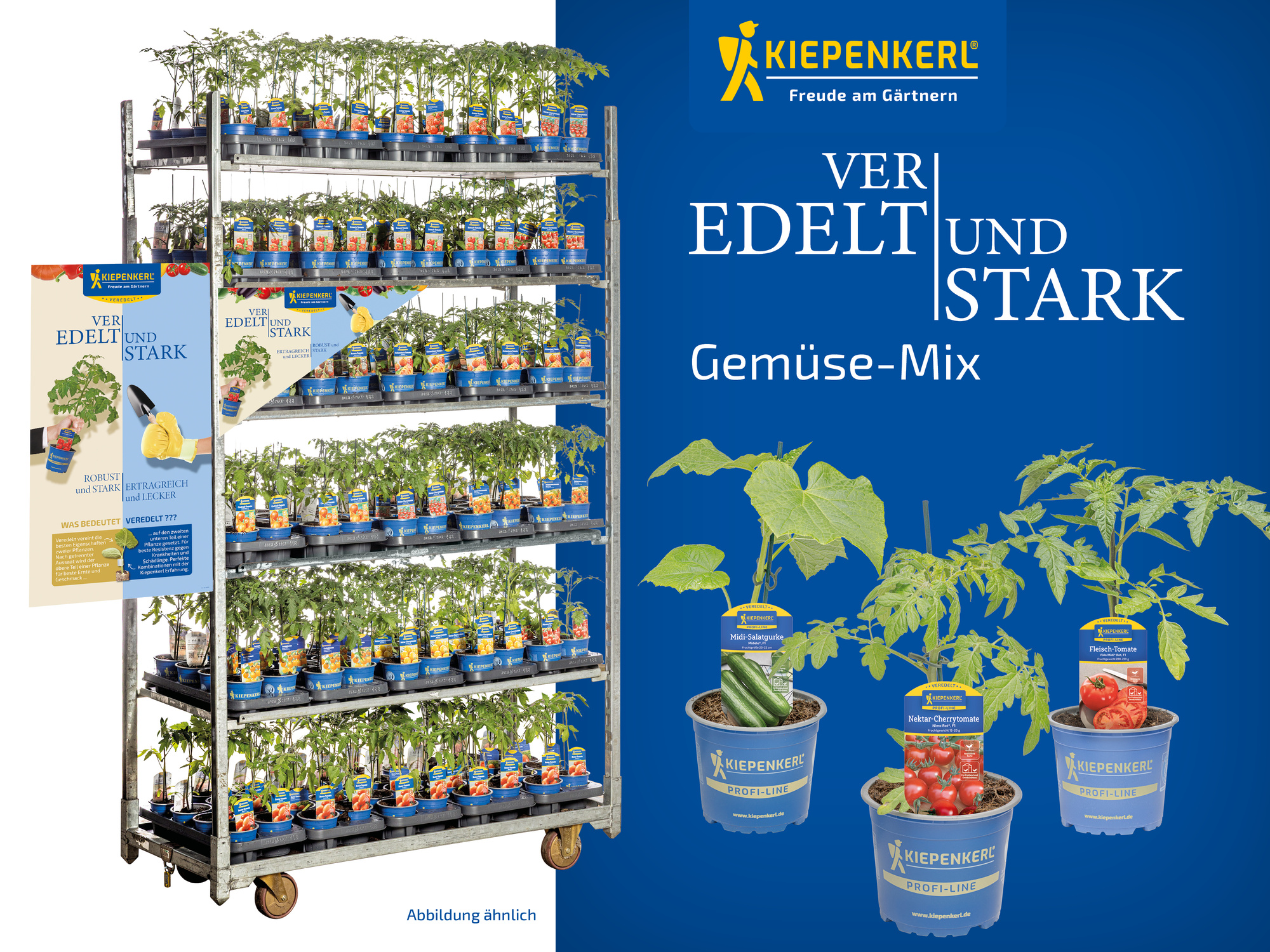 2026 - Frühjahr - ProfiLine Pflanzen - Veredelt & Stark - Gemüse Mix