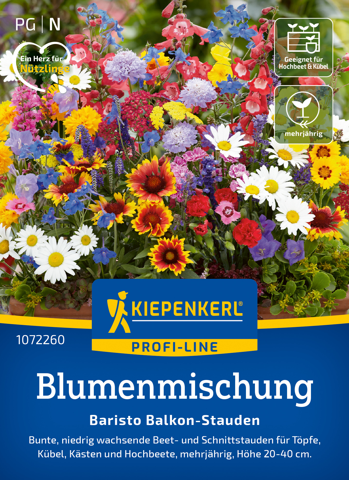 Blumenmischung Baristo Balkon-Stauden