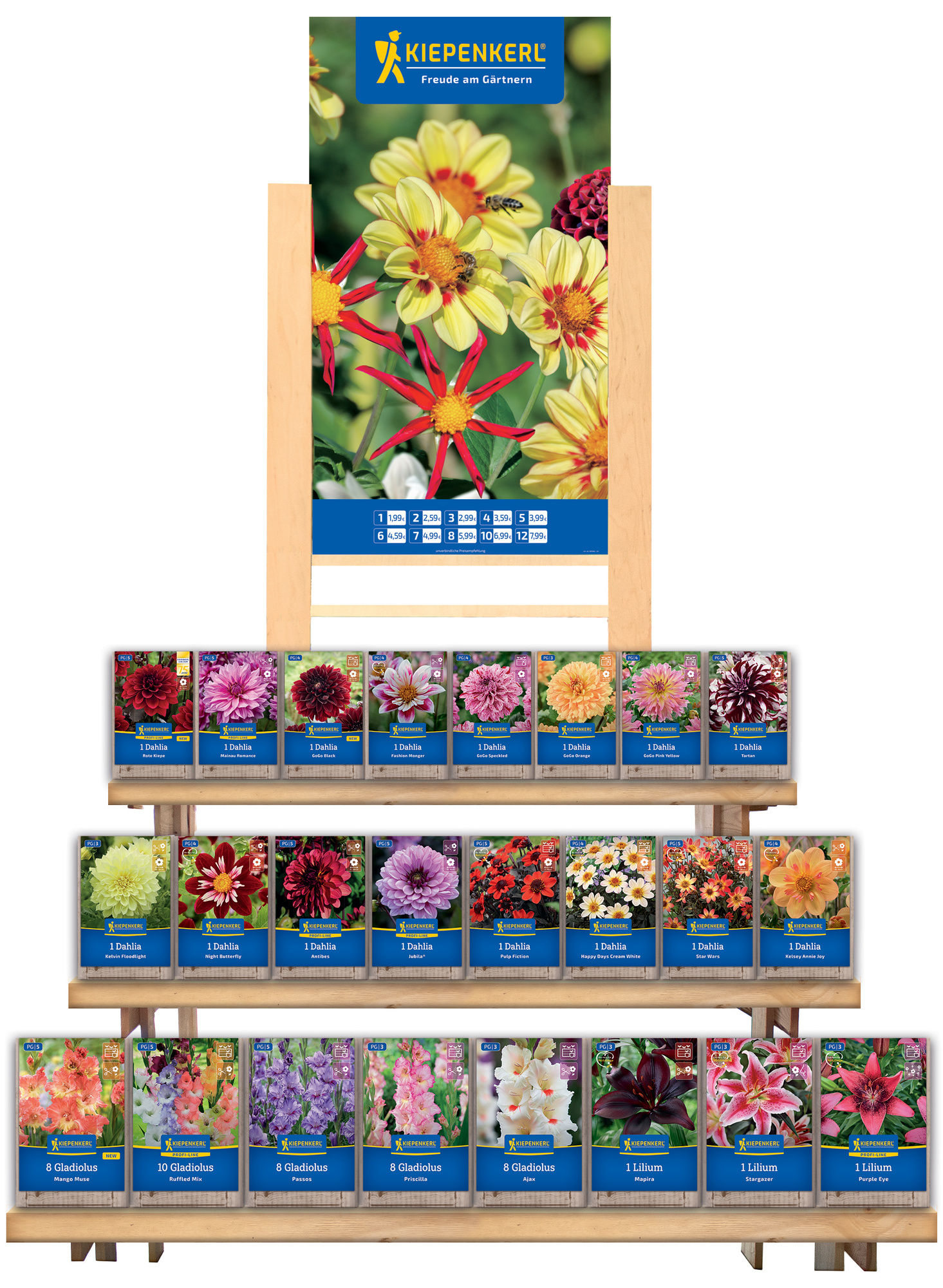 2026 - Frühjahr - Kiepenkerl-Blumenzwiebeln 'Neuheiten & Topseller' zweiseitige Tribüne