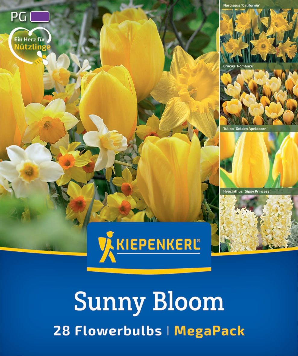 Mega Pack Sunny Bloom