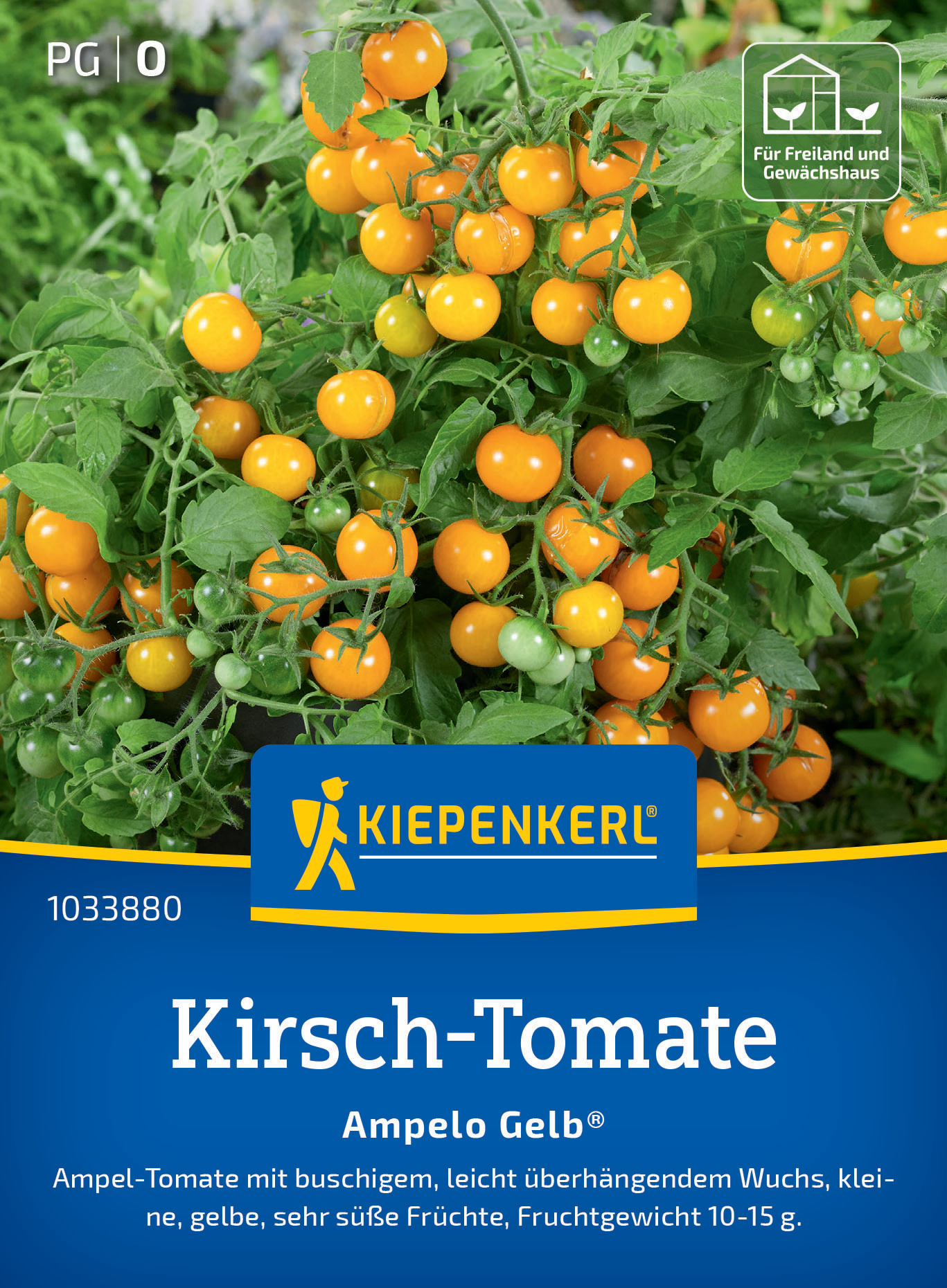 Kirsch-Tomate Ampelo Gelb®, F1