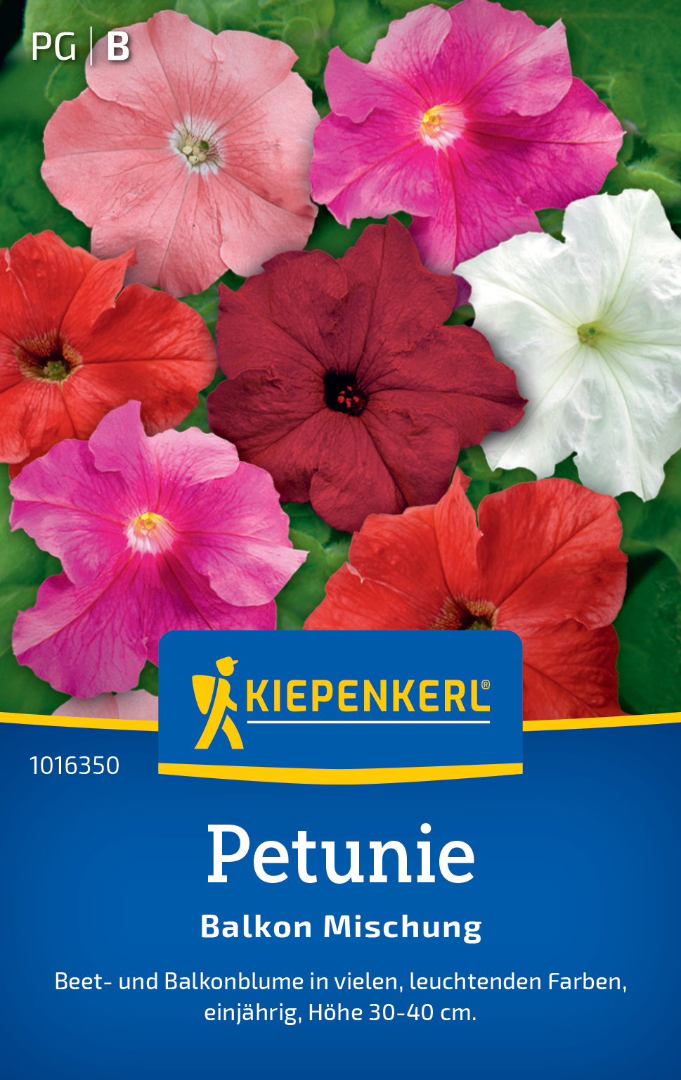 Petunie Balkon Mischung