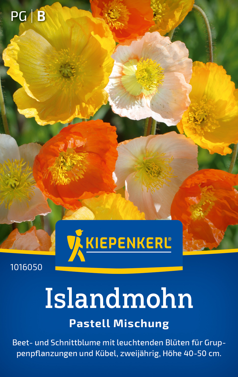 Islandmohn Pastell Mischung