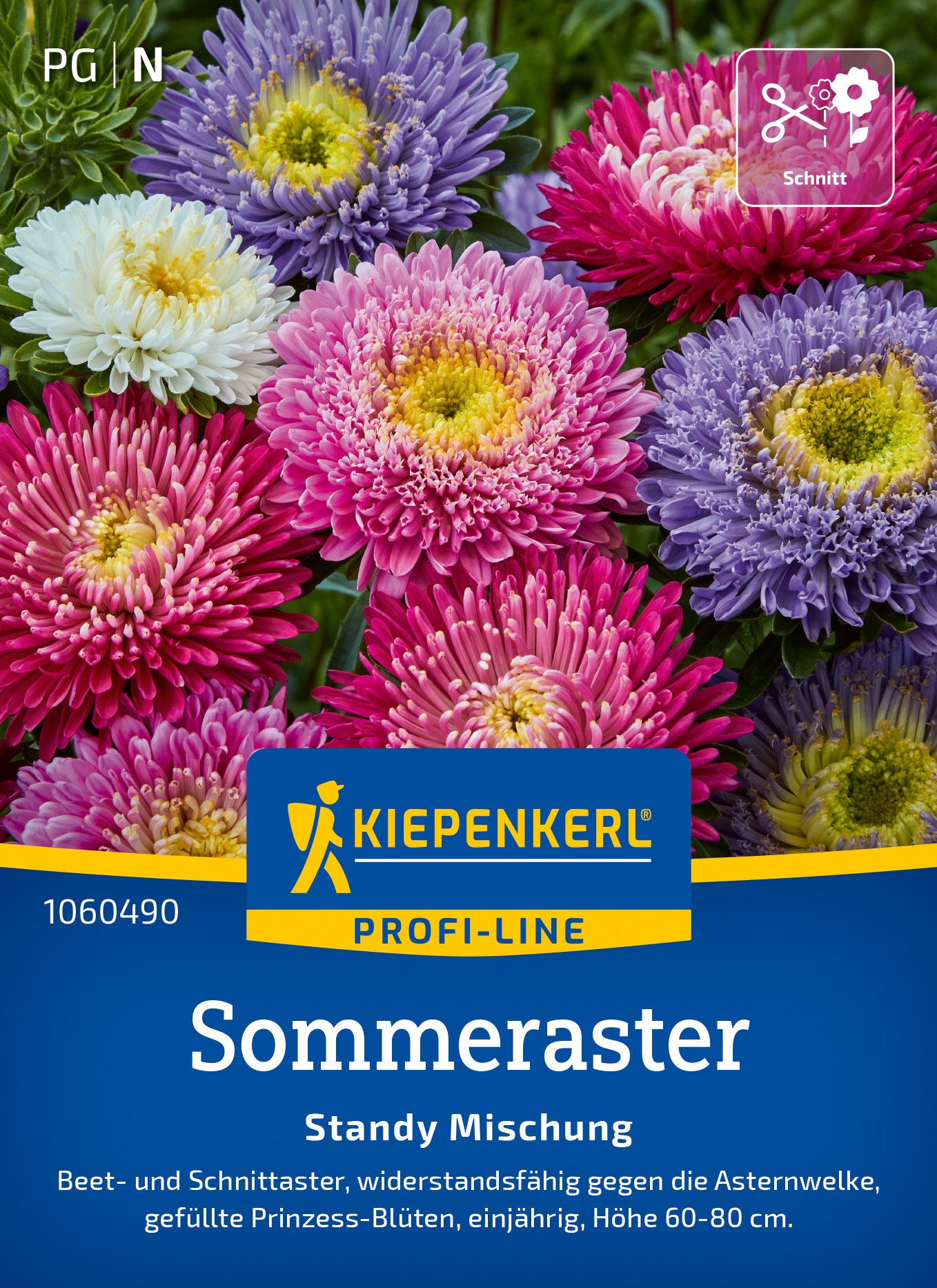 Sommeraster Standy Mischung