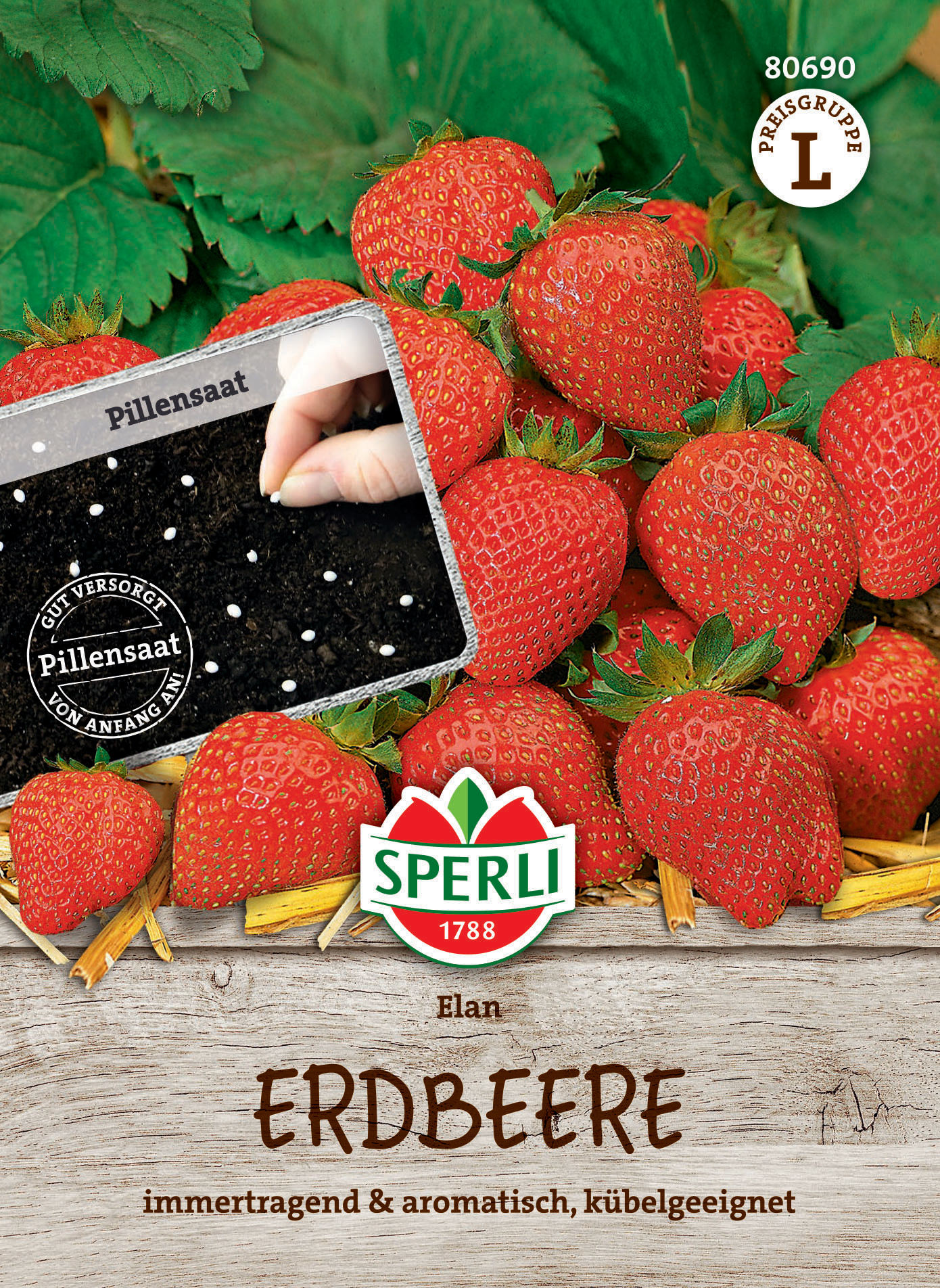 Erdbeere Elan, F1, Pillensaat Erdbeere Elan, F1, Pillensaat