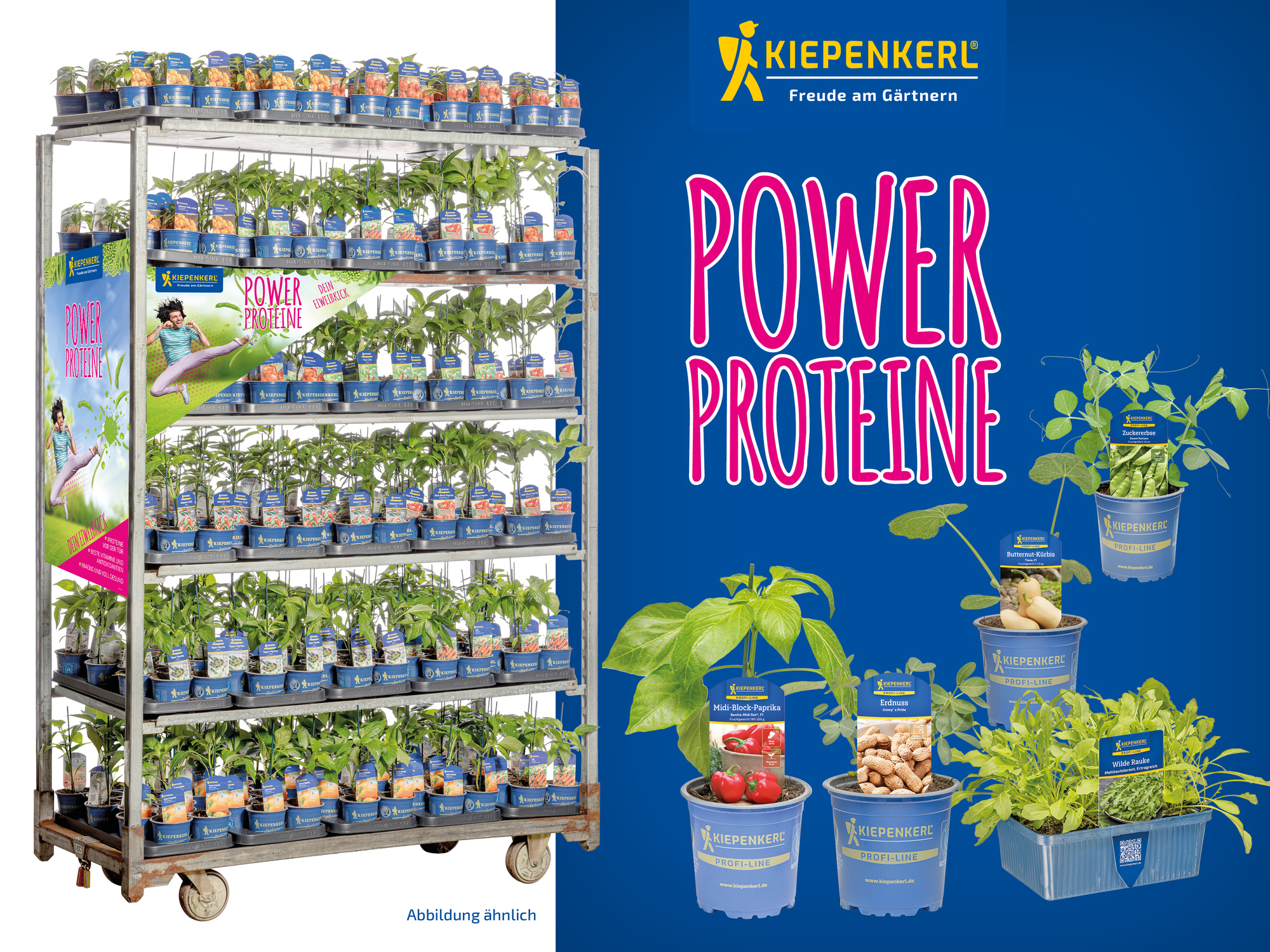 2026 - Frühjahr - ProfiLine Pflanzen - Power Proteine