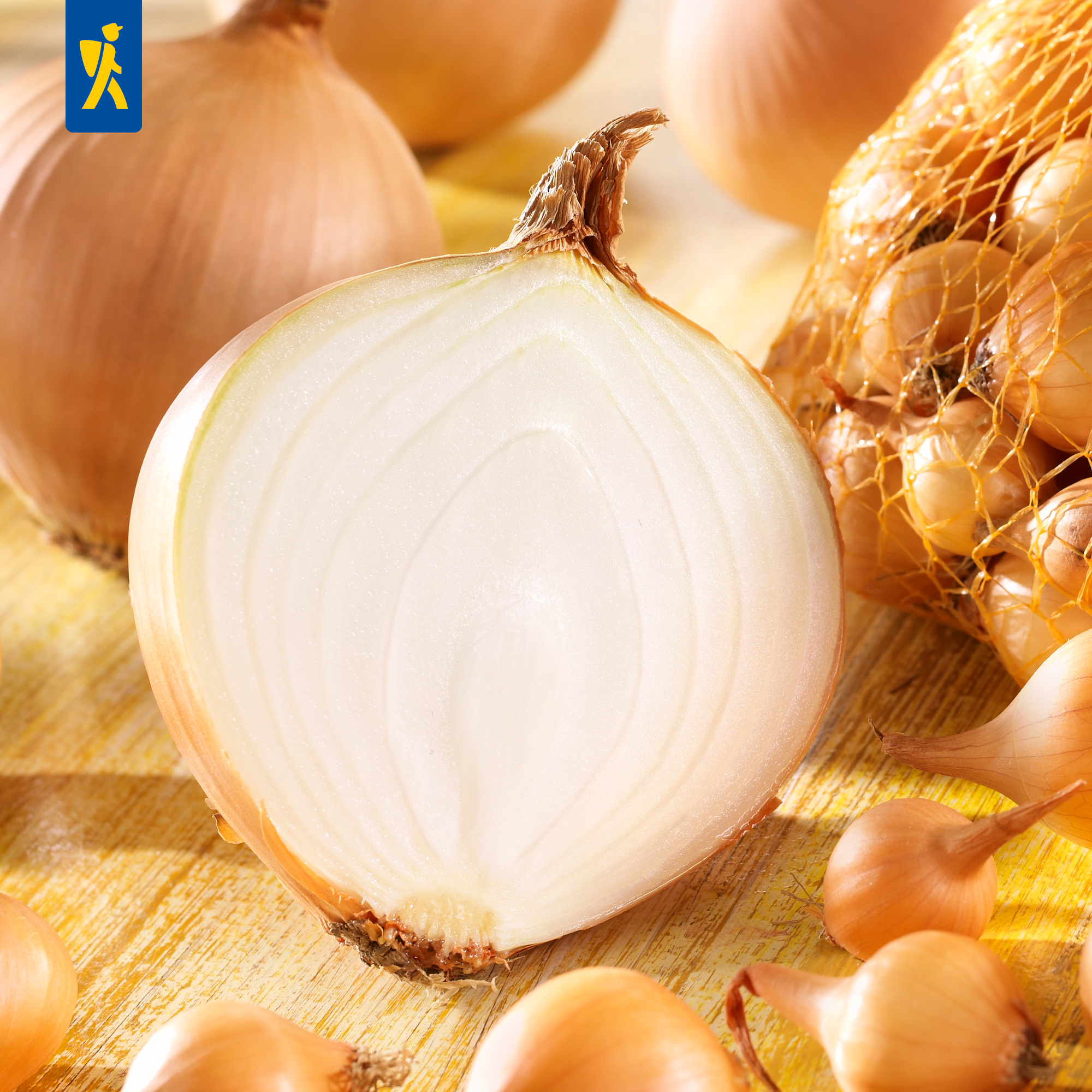 Steckzwiebel Stuttgarter Riesen, Gr.14/24, 500 g Steckzwiebel Stuttgarter Riesen, Gr.14/24, 500 g