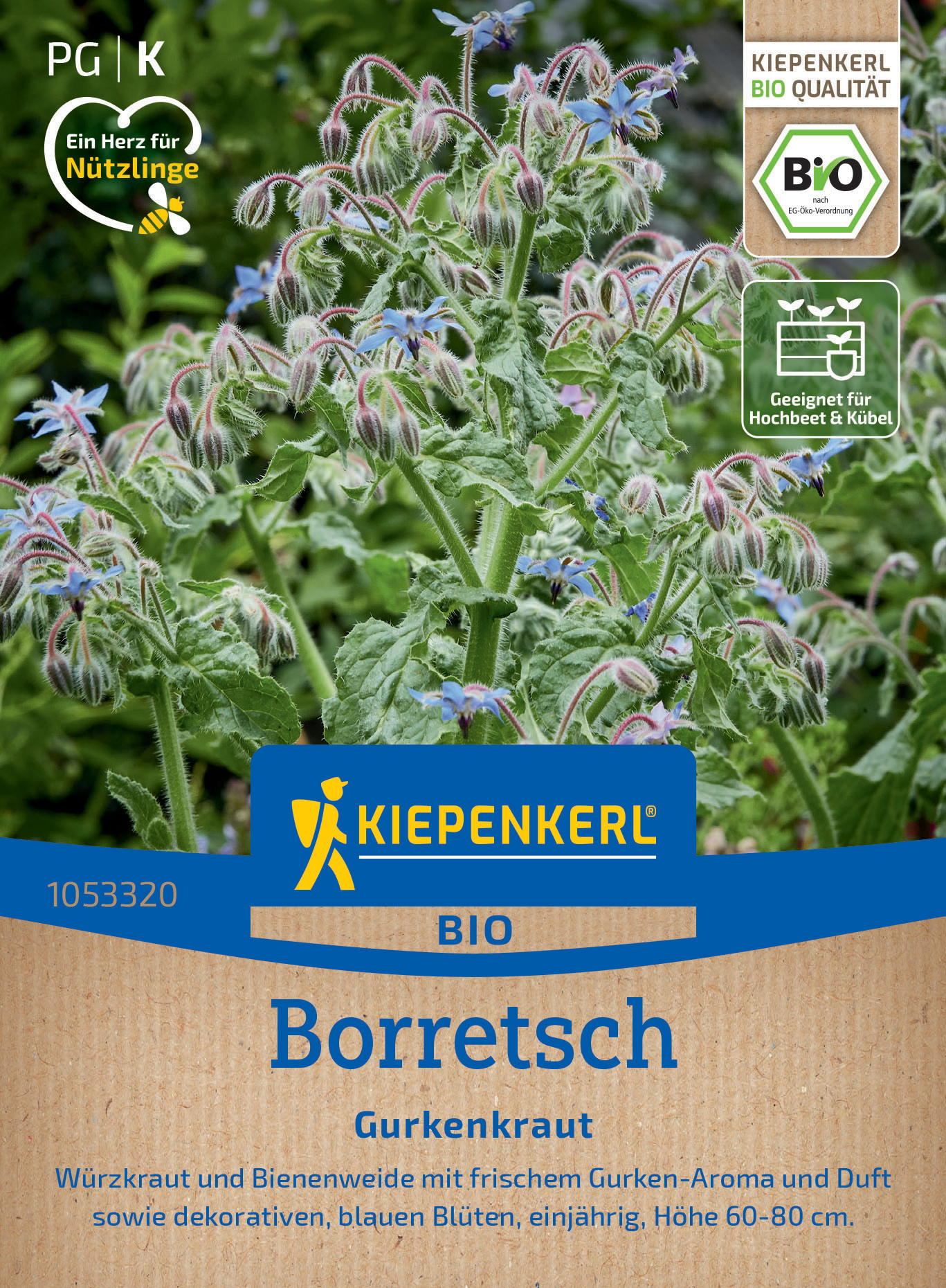BIO Borretsch Gurkenkraut