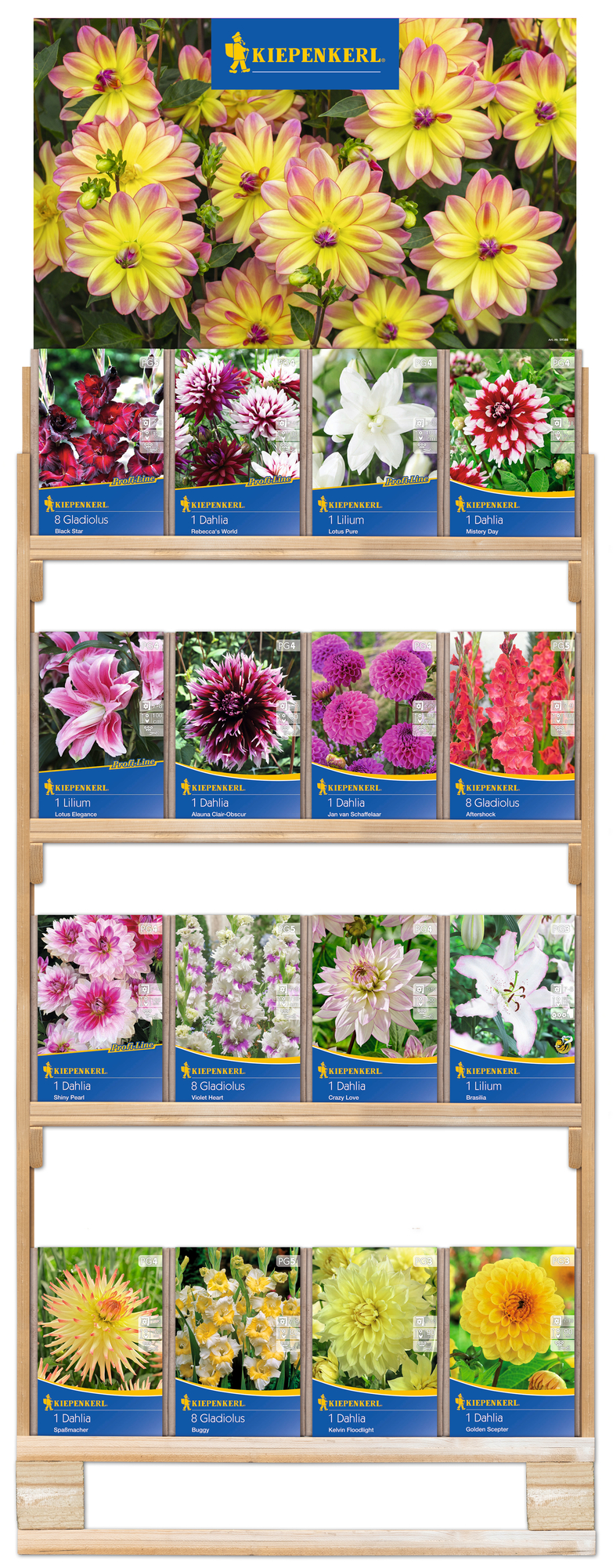2024 - Frühjahr - Kiepenkerl-Blumenzwiebeln Slowflower - Schnittblumen' Halbpaletten-Regal