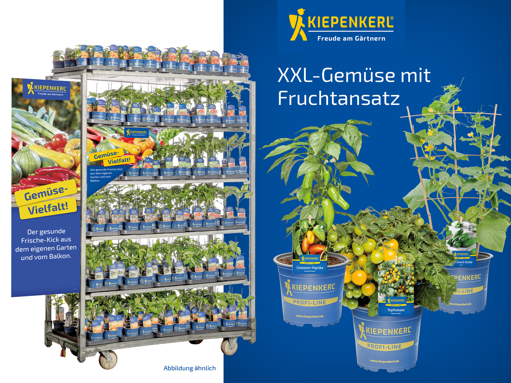 2026 - Frühjahr - ProfiLine Pflanzen - XXL Gemüse mit Fruchtansatz T19