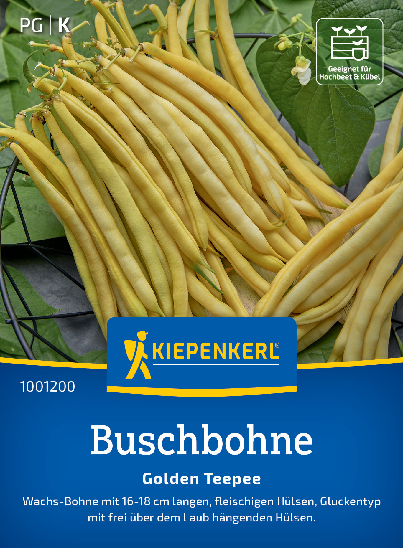 Buschbohne Golden Teepee