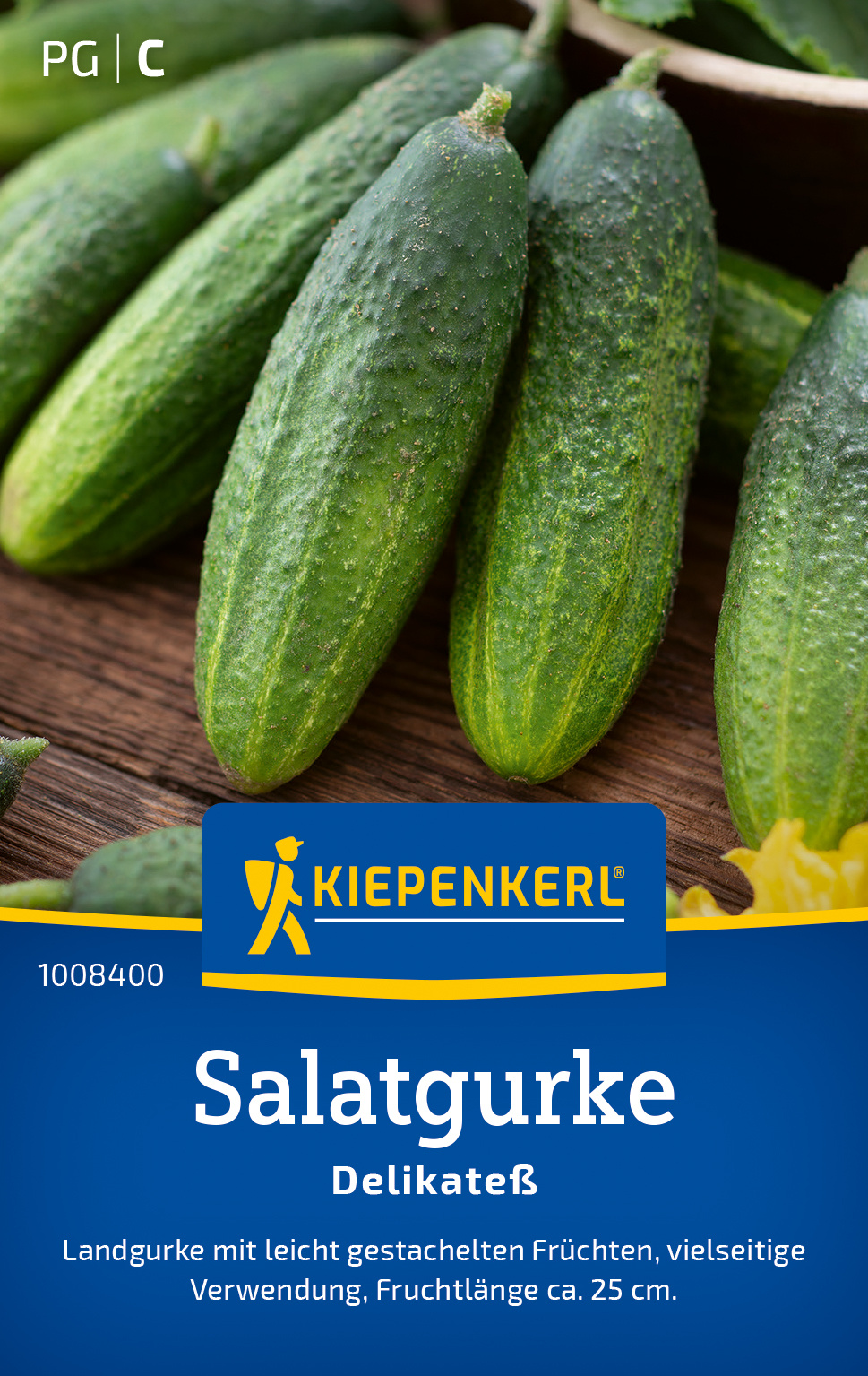 Salatgurke Delikateß