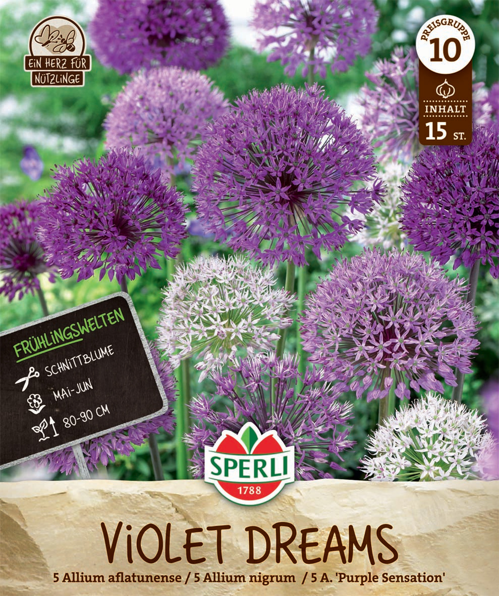Frühlingsgarten Violet Dreams