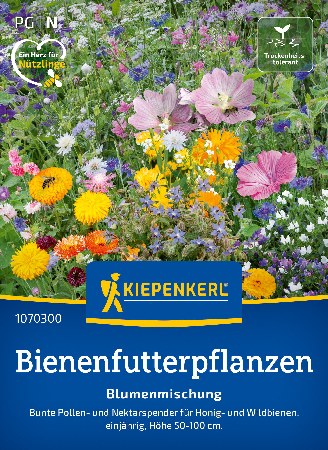 Blumenmischung Bienenfutterpflanzen