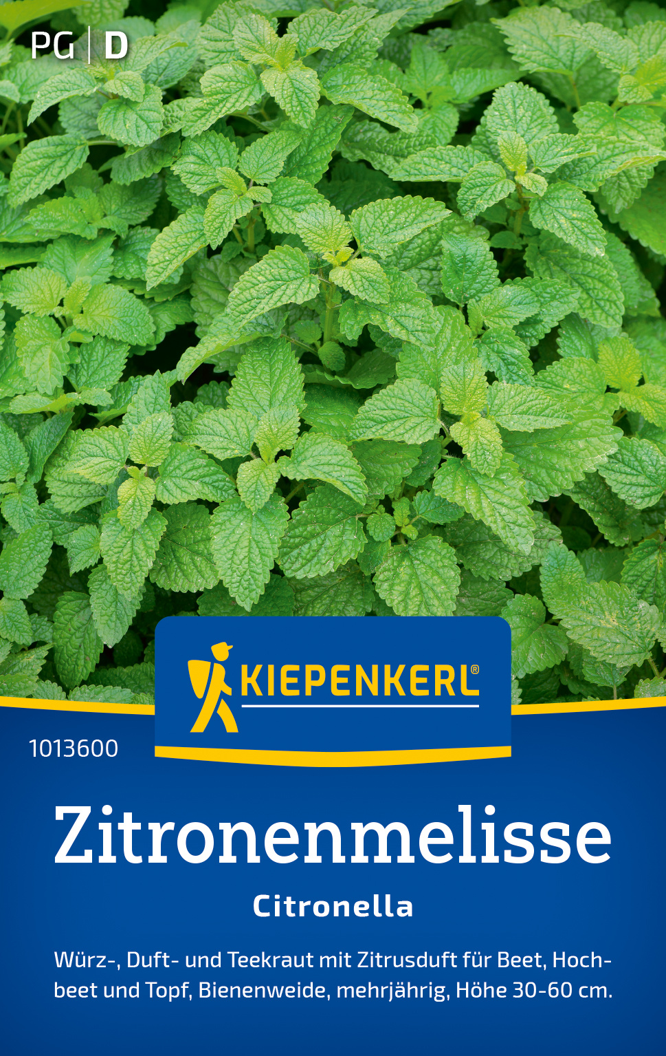 Zitronenmelisse Citronella