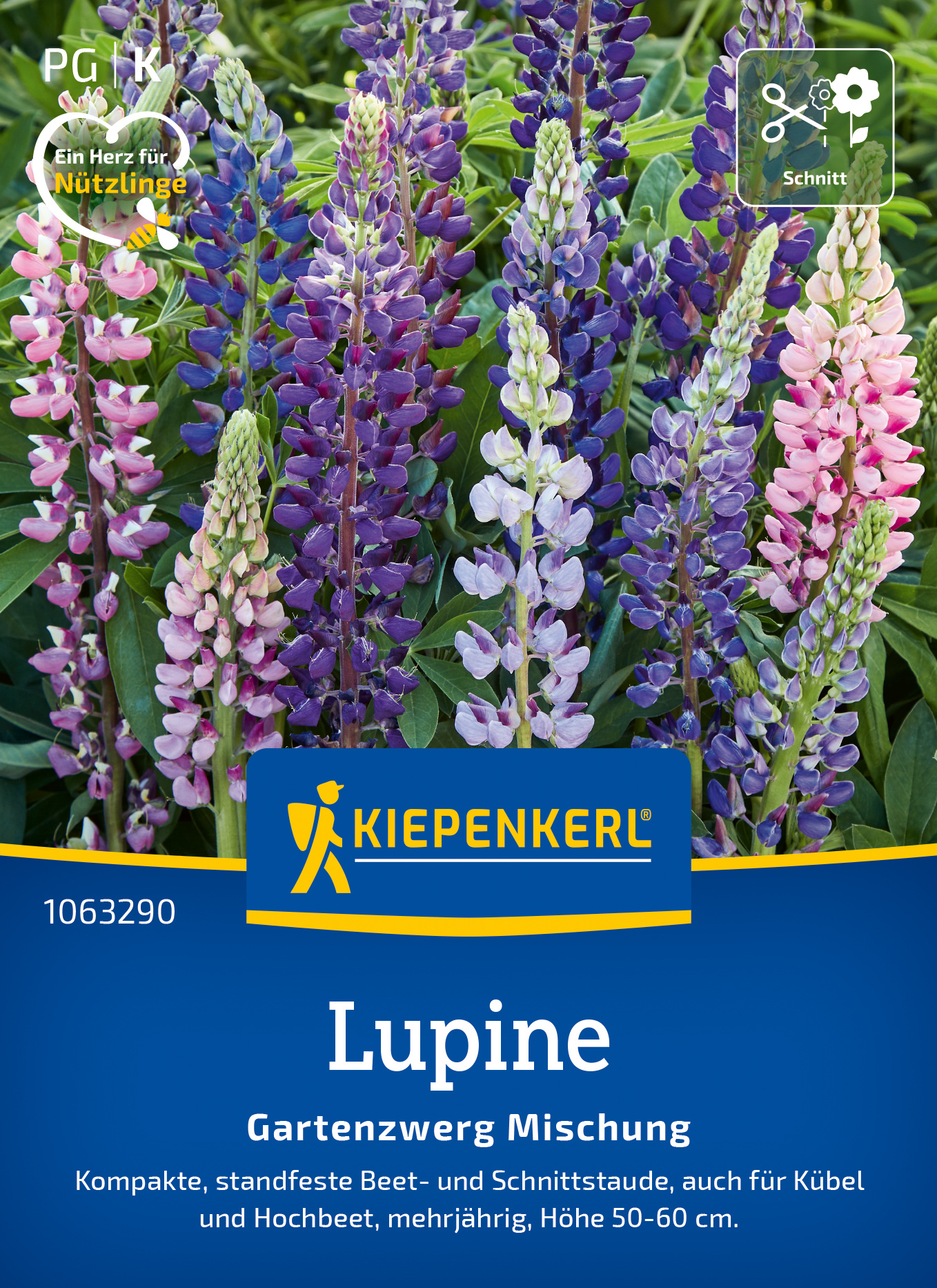 Lupine Gartenzwerg Mischung Lupine Gartenzwerg Mischung