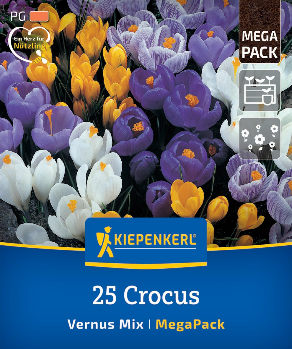 Mega-Pack Gartenkrokusmischung