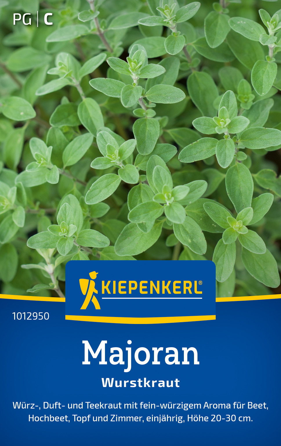 Majoran Wurstkraut