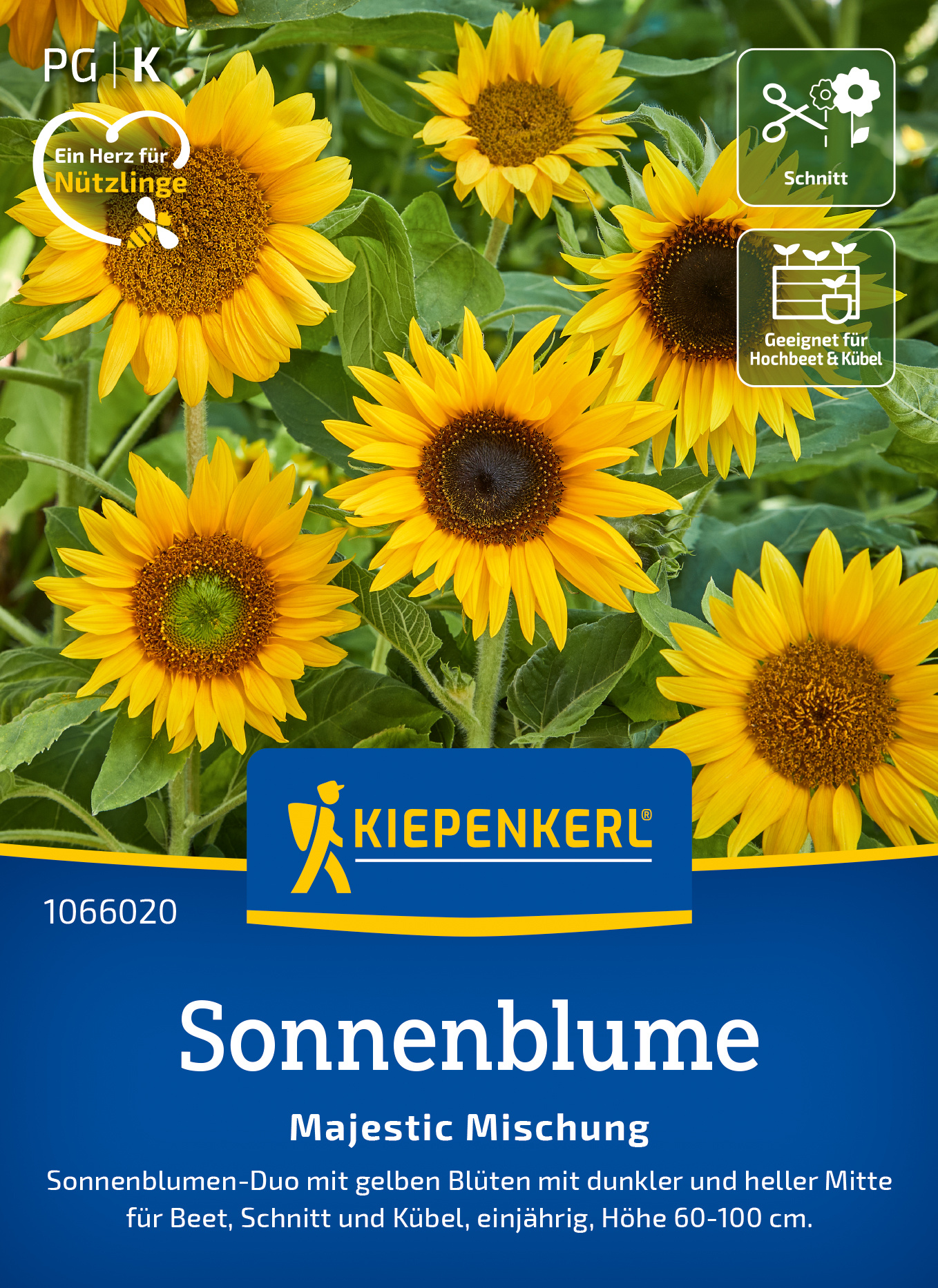 Sonnenblume Majestic Mischung