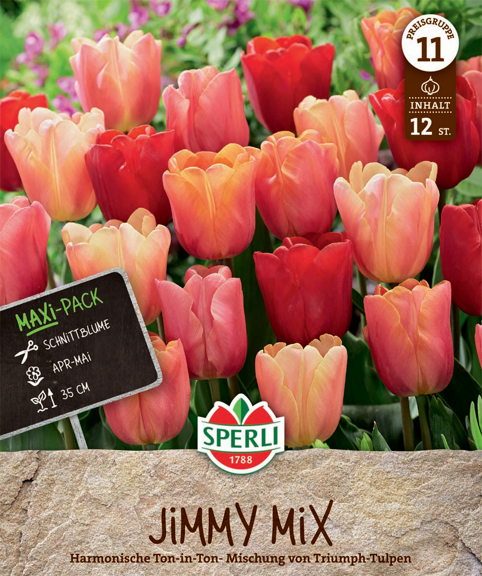 Maxi Triumph-Tulpen Jimmy Mix