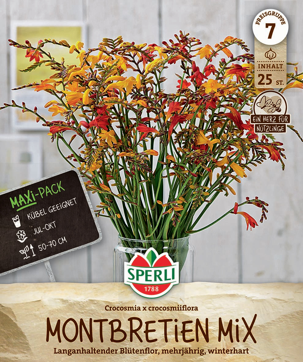 Maxi Pack Montbretien Mix Maxi Pack Montbretien Mix