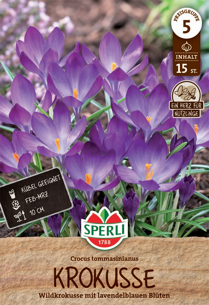 Wildkrokus Elfenkrokus Wildkrokus Elfenkrokus