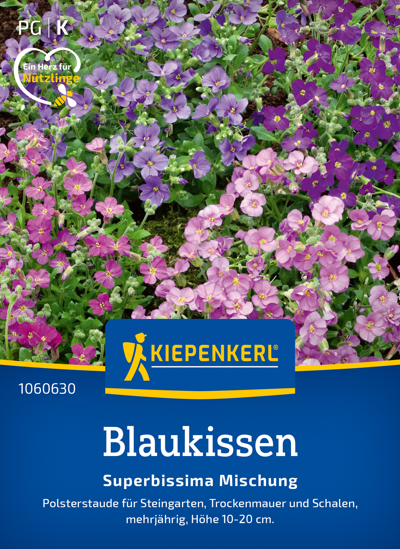 Blaukissen Superbissima Mischung Blaukissen Superbissima Mischung