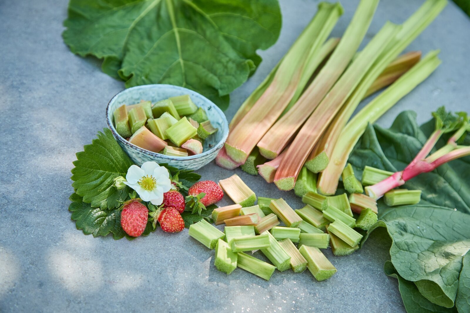 Rhabarber Timperley Early