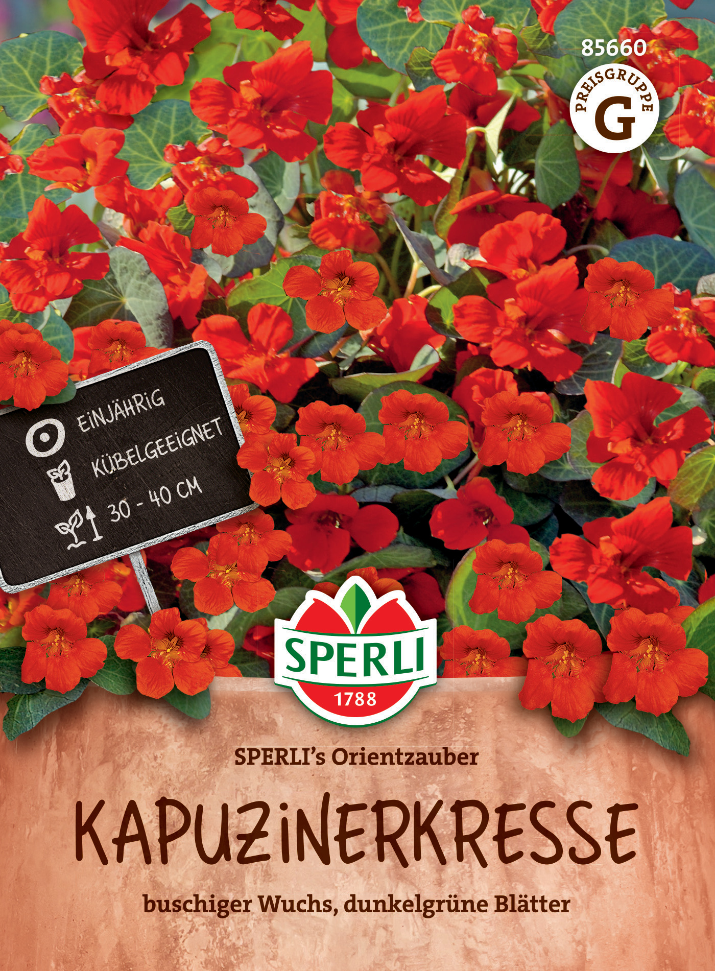 Kapuzinerkresse SPERLI's Orientzauber Kapuzinerkresse SPERLI's Orientzauber