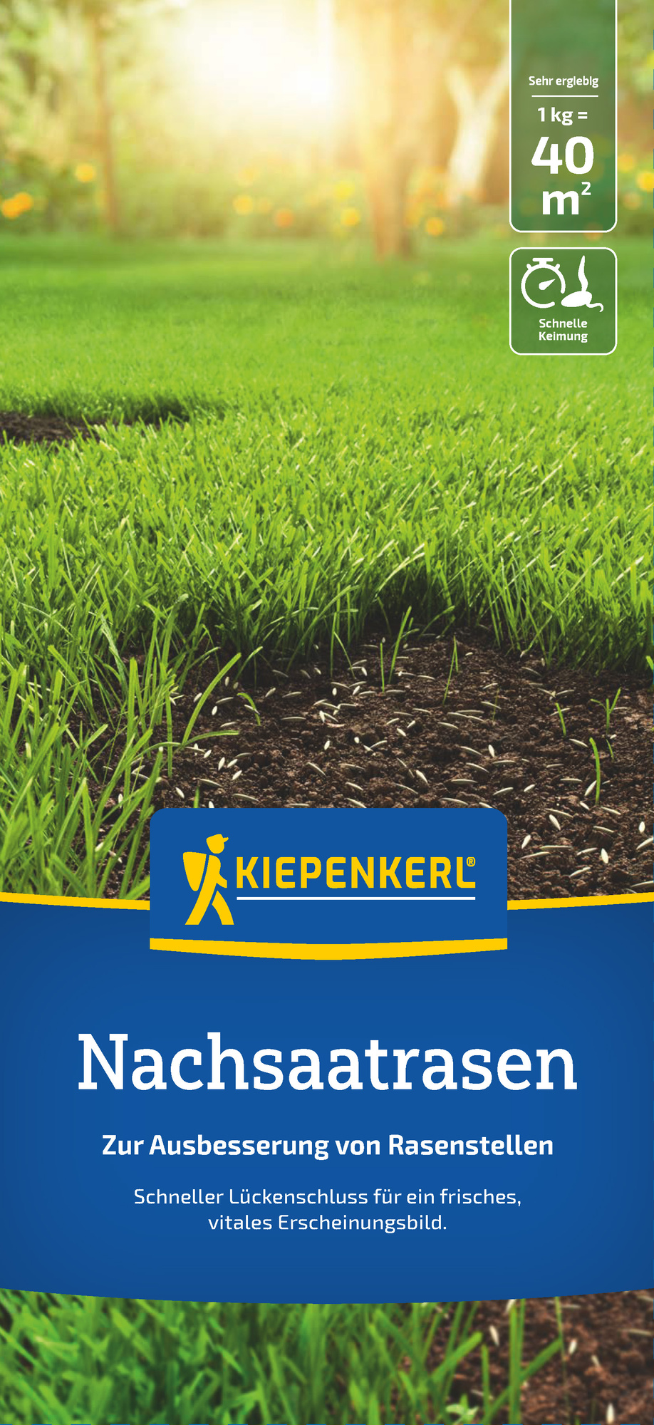 Kiepenkerl Nachsaatrasen, 1 kg Kiepenkerl Nachsaatrasen, 1 kg