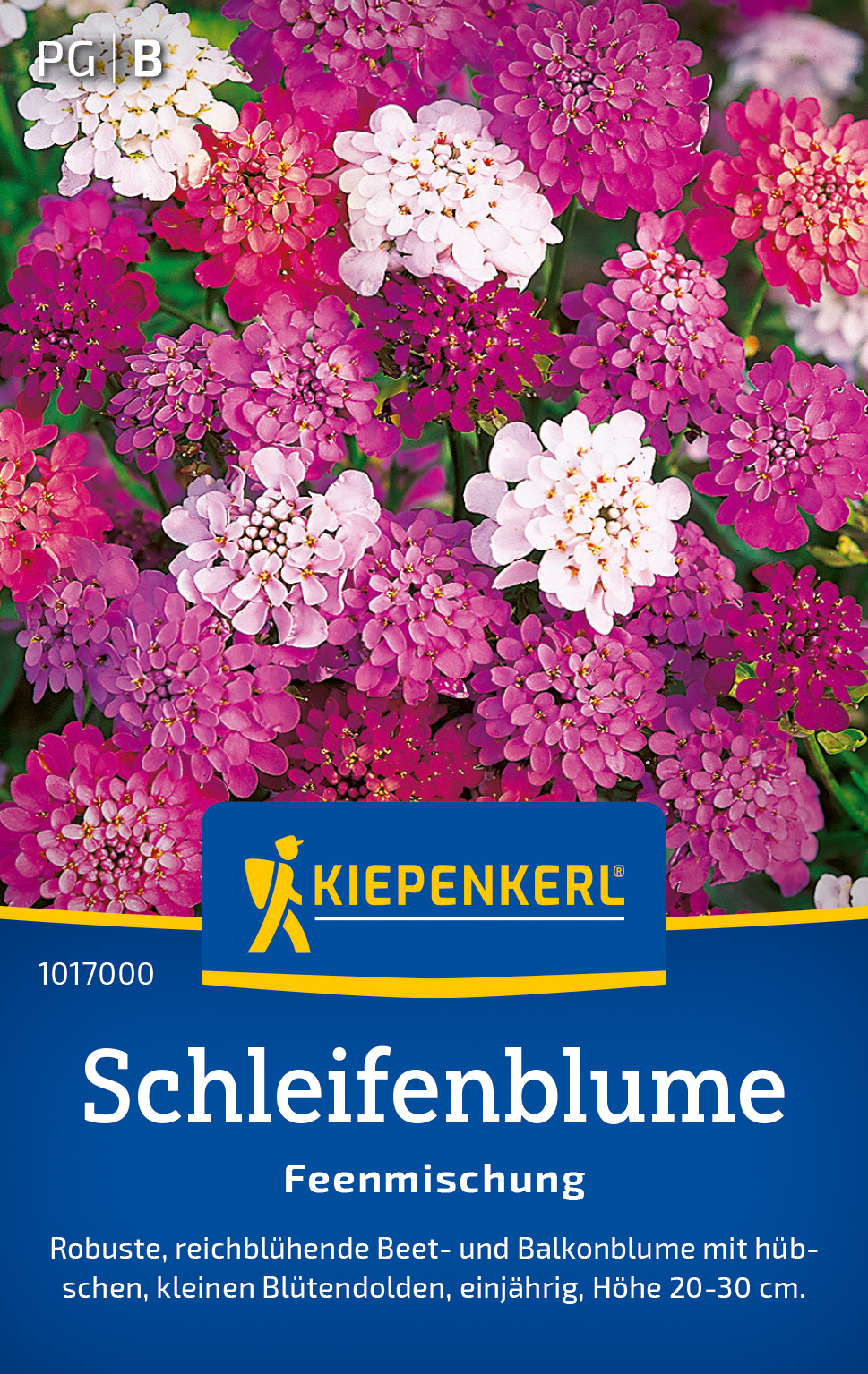 Schleifenblume Feenmischung