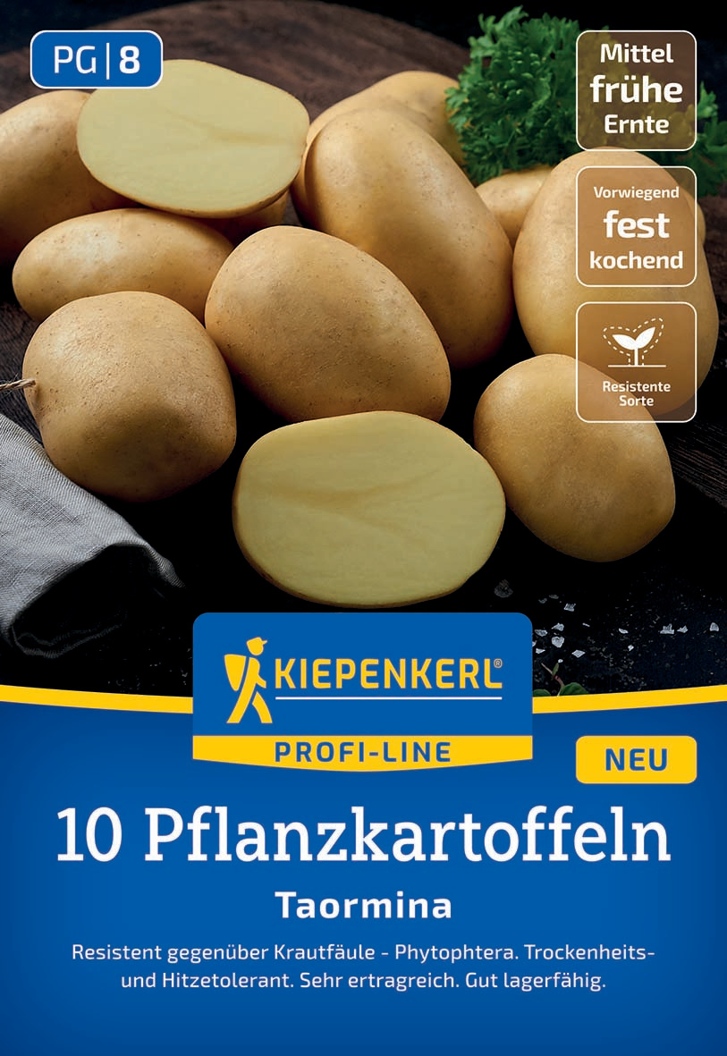 Pflanzkartoffel Taormina, 10 St Pflanzkartoffel Taormina, 10 St