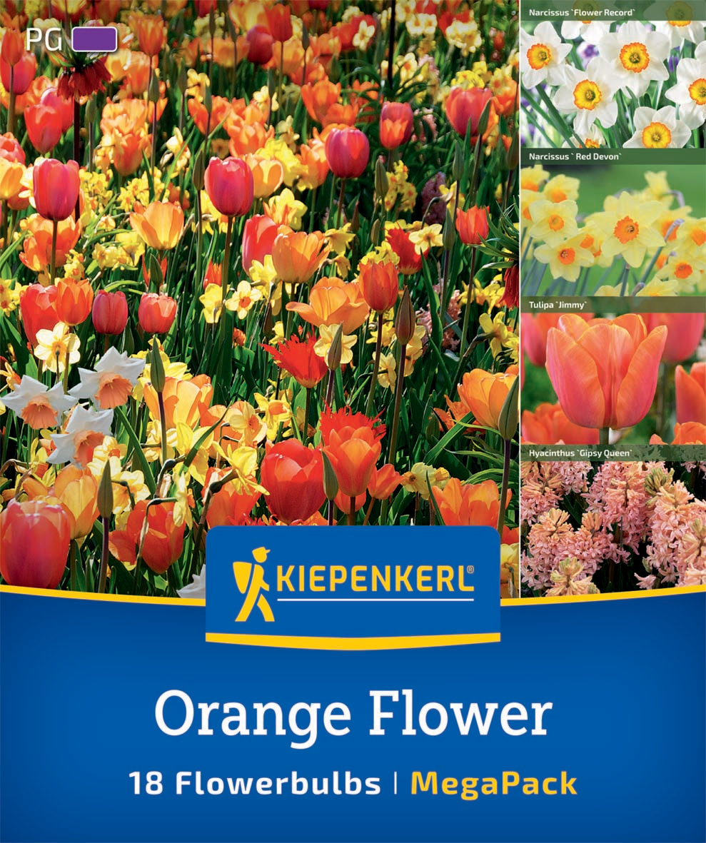 Mega Pack Orange Flower