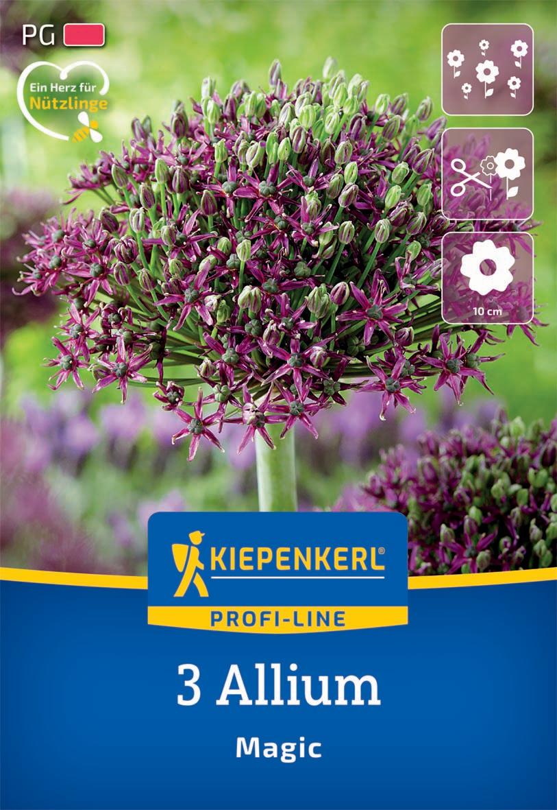 Profi-Line Zierlauch Magic
