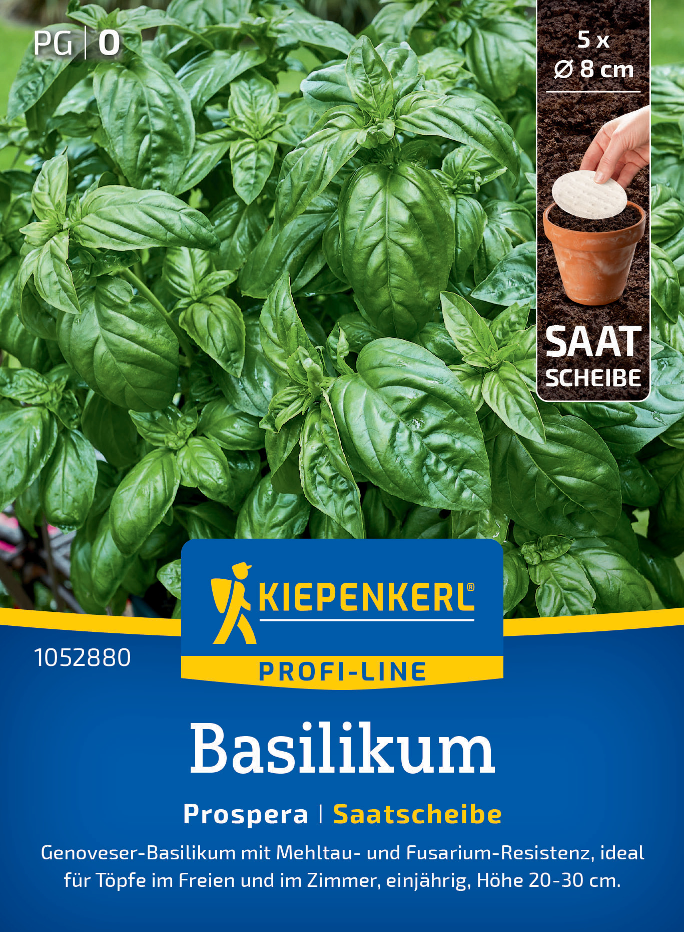 Basilikum Prospera, F1, Saatscheibe