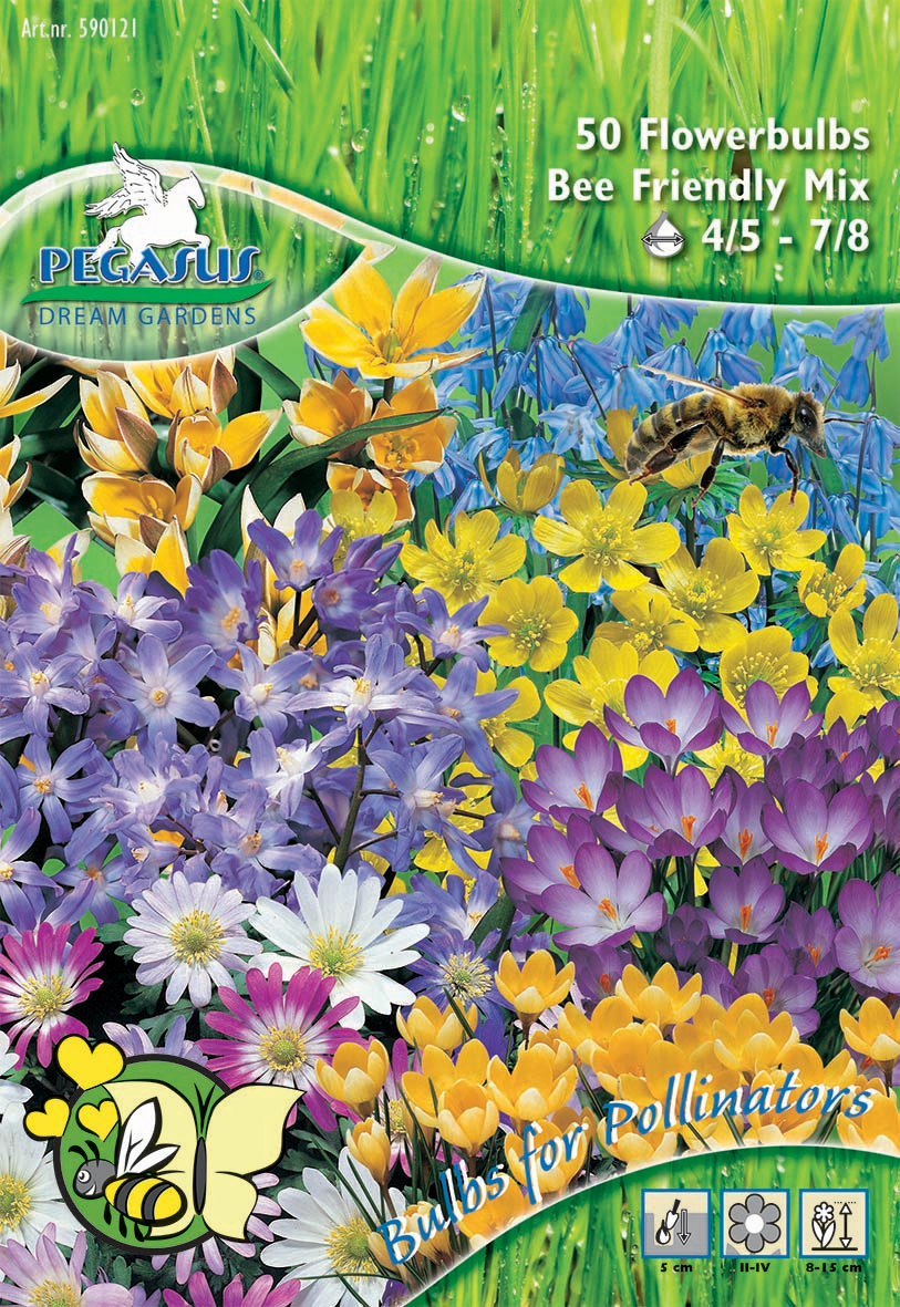 Pegasus Aktion Bienenfutterquelle
