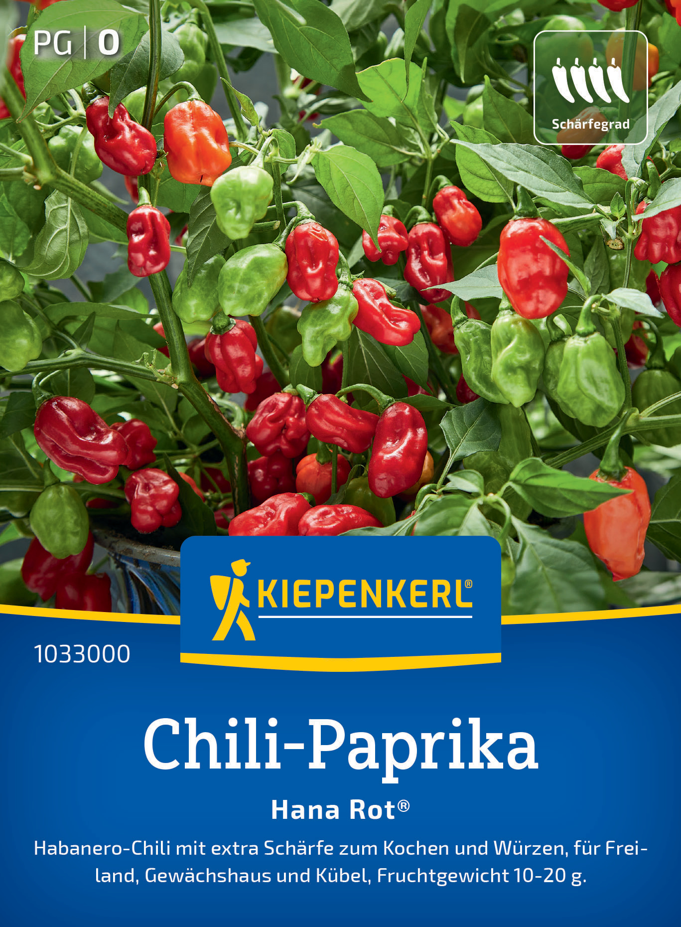 Chili-Paprika Hana Rot®, F1